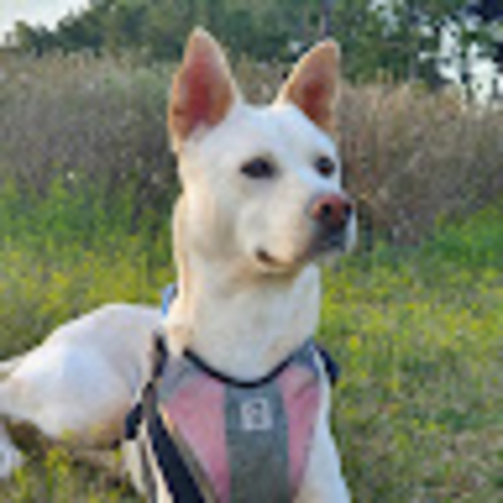 Meet your Posher, Caleb